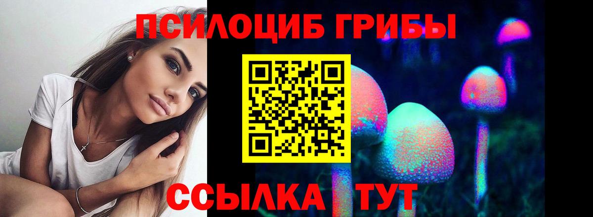 Галлюциногенные грибы Cubensis Кострома
