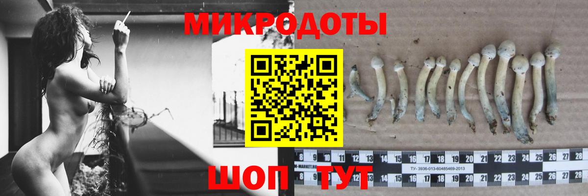 Кострома  наркота  Вход с VPN  Псилоцибиновые грибы мухоморы 
